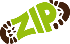 ZIP-retina